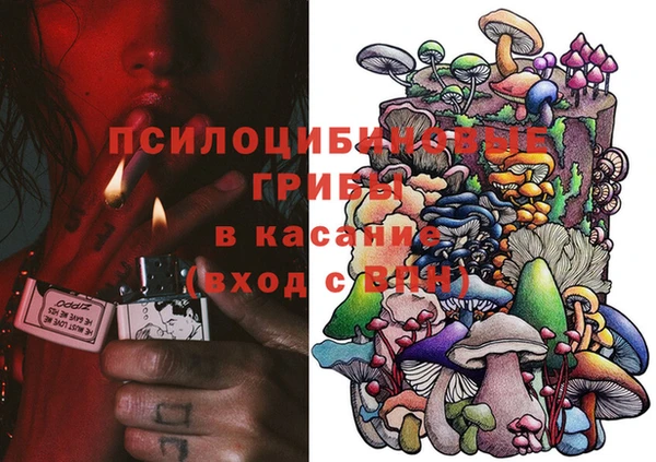 a pvp Каменка