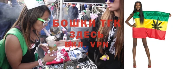 a pvp Каменка