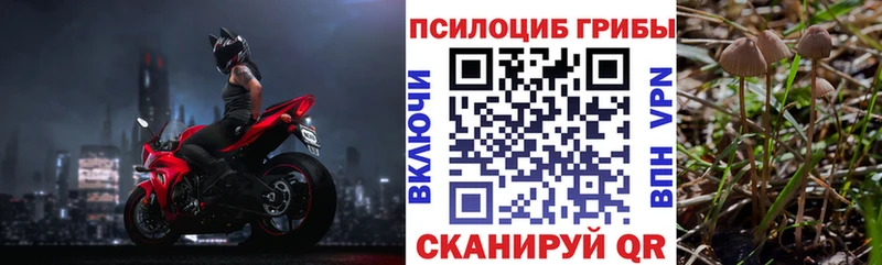 Псилоцибиновые грибы мицелий  Купить где  Воскресенск 